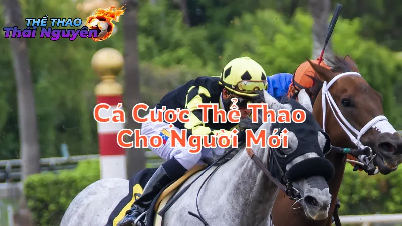 Hướng Dẫn Cá Cược Thể Thao Cho Người Mới