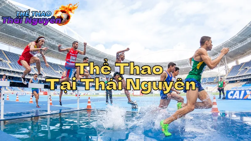 Tình Hình Thể Thao Tại Thái Nguyên Hiện Nay