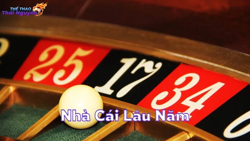 Nhà Cái Lâu Năm Và Đáng Tin Cậy Cho Người Chơi