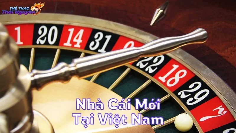 Nhà Cái Mới Tại Việt Nam Có Gì Đặc Biệt