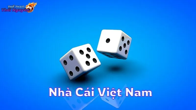 Nhà Cái Việt Nam Phù Hợp Với Nhu Cầu Người Chơi